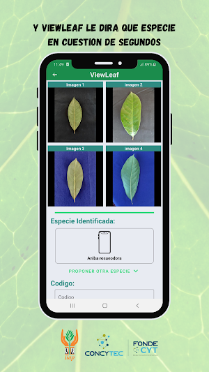 ViewLeaf Screenshot 2