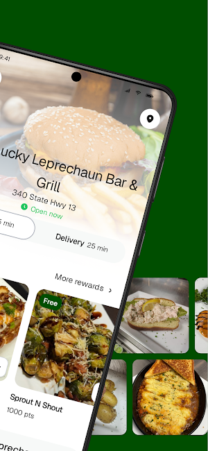 The Lucky Leprechaun Screenshot 1