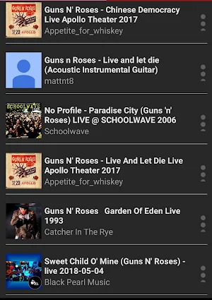 Gun N' Roses Screenshot 2