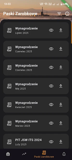 Puls JSW Screenshot 2