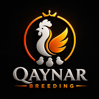 Qaynar Breeding