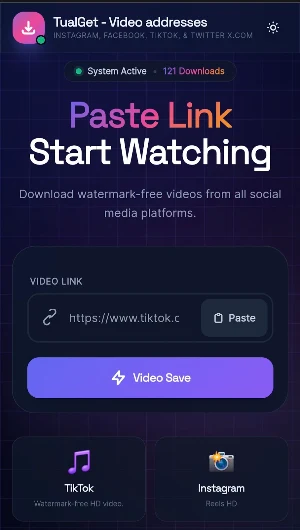Video Downloader: Story Saver Screenshot 2