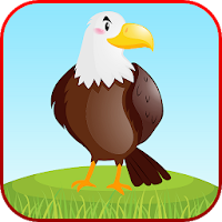 Bird Sounds Fun Learning Games - Coloring & Puzzle