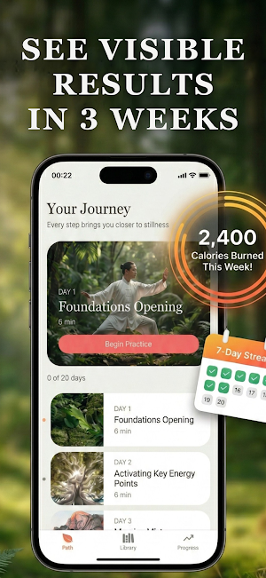 Tai Chi for Beginners - Flow Screenshot 2