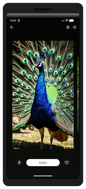 Peacock Wallpaper HD & 4K Screenshot 2
