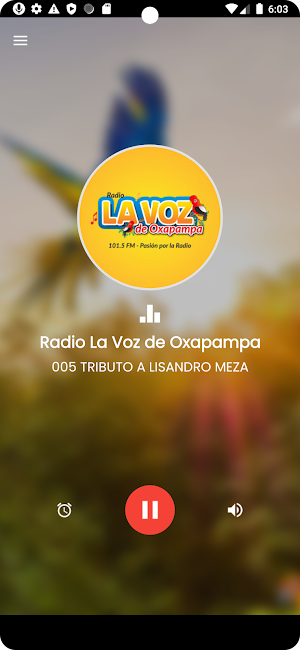 La Voz de Oxapampa Radio Screenshot 1