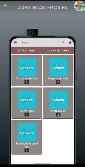 Jobs Scheme Screenshot 1