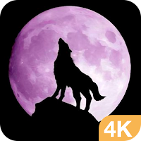 Wolf Wallpapers HD & Free Were