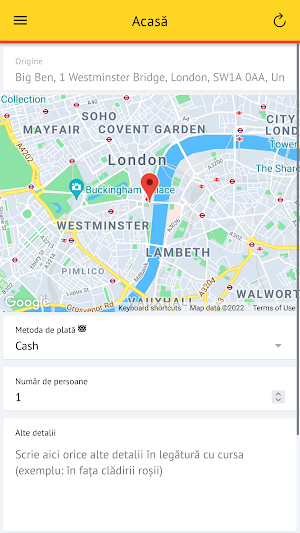 Radio Taxi Screenshot 1
