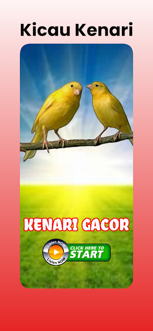 Kicau Burung Kenari Gacor screenshot 1