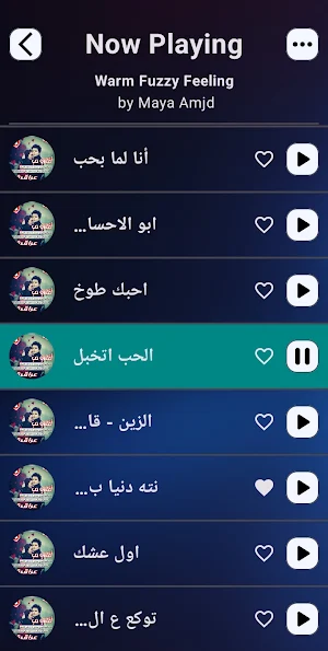 Iraqi love songs 2025 offline Screenshot 3