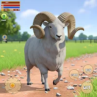 Sheep Fun Animal games