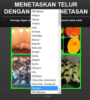 incubation of eggs with hatching machines Screenshot 0