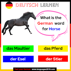 Deutsch Lernen - Learn German Screenshot 1