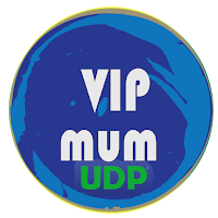 VIP MUM UDP VPN