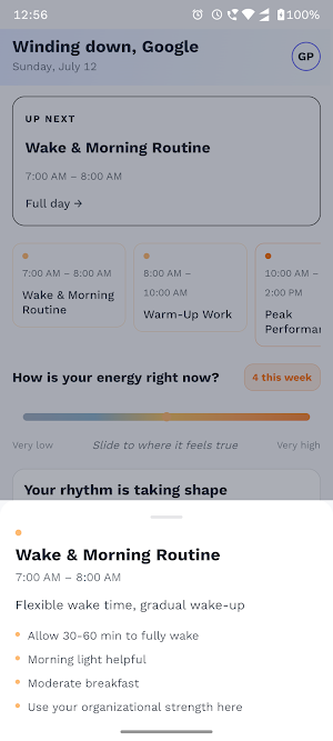 DayWise Screenshot 2