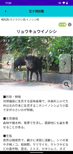 ジュゴンズアイ Screenshot 3