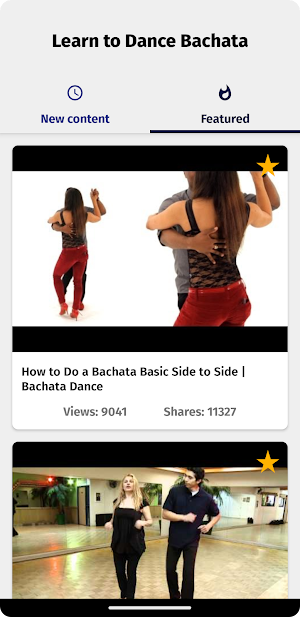 Learn To Dance Bachata Screenshot 3