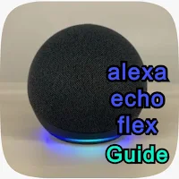 alexa echo flex guide
