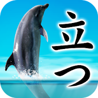 Can Dolphin Stand?