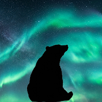 BorealisBuddy