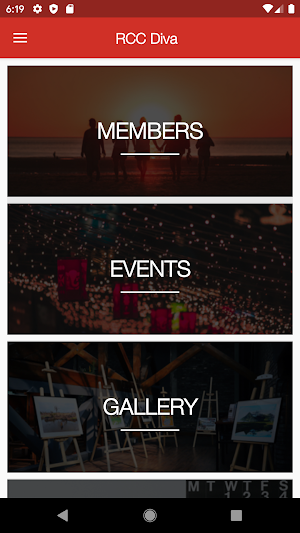 RCC Diva Screenshot 3