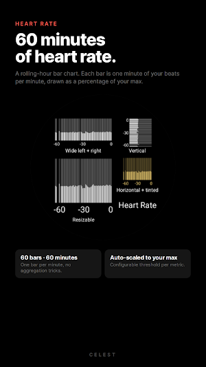 Fit Data Complication Screenshot 3