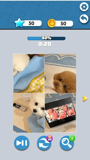 Puzzle Variant Timer Challenge Screenshot 1