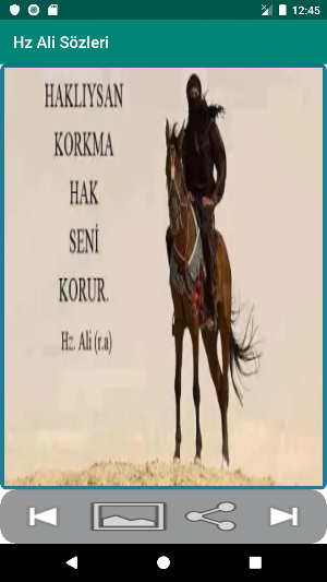 Hz Ali Sözleri Screenshot 0