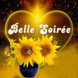 Bonjour Bonsoir Bonne Nuit Screenshot 3