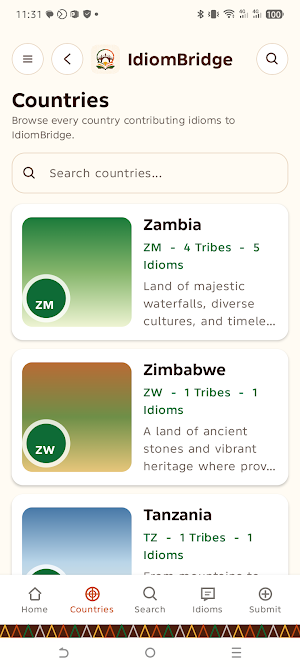IdiomBridge Screenshot 3