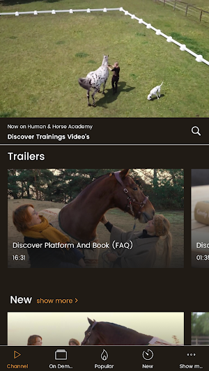 Human & Horse Academy Screenshot 1