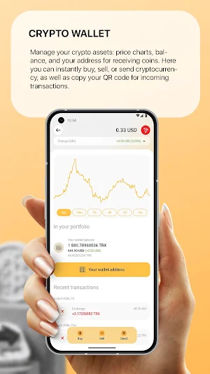 Casheron Screenshot 1