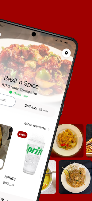 Basil 'n Spice Screenshot 1