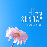 Happy Sunday