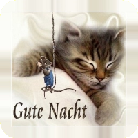 Gute Nacht