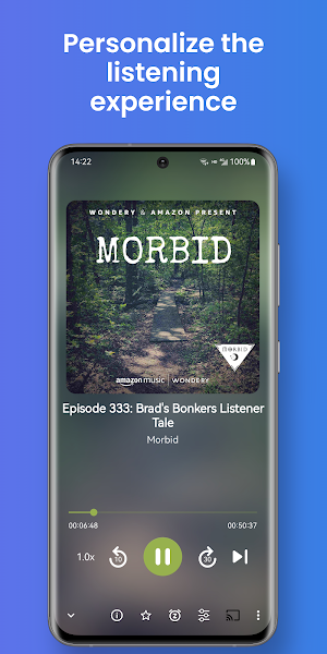 FocusPodcast  & AudioBooks Screenshot 2