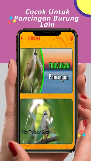 Pancingan Trucukan Gacor Screenshot 2