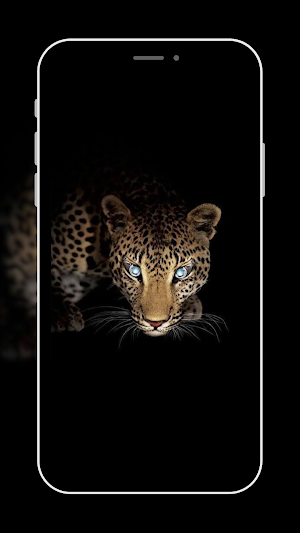 Black Wallpaper Screenshot 3