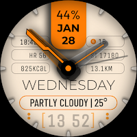 Watch Face WF176