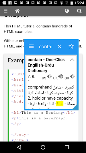 Urdu Dictionary & Translator - Dict Box Screenshot 3