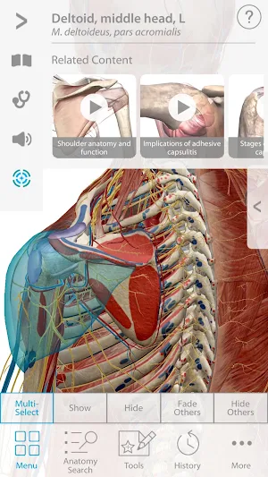 Muscle Premium - Human Anatomy, Kinesiology, Bones Screenshot 0