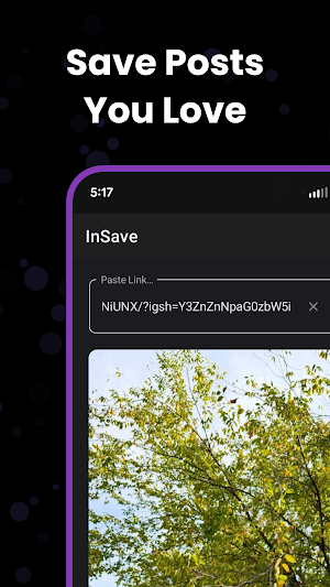 InSave: FastDl Gram Downloader Screenshot 1