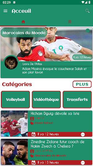 Atlas lions Screenshot 0