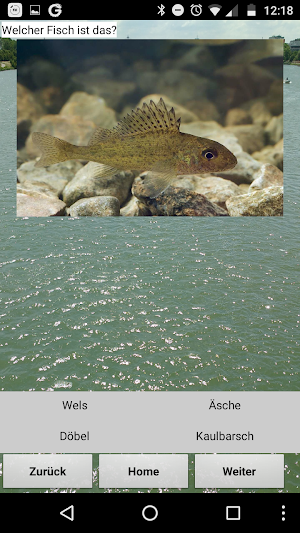 Fischer App Austria Screenshot 1
