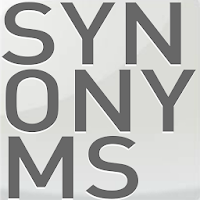 Synonyms - Game