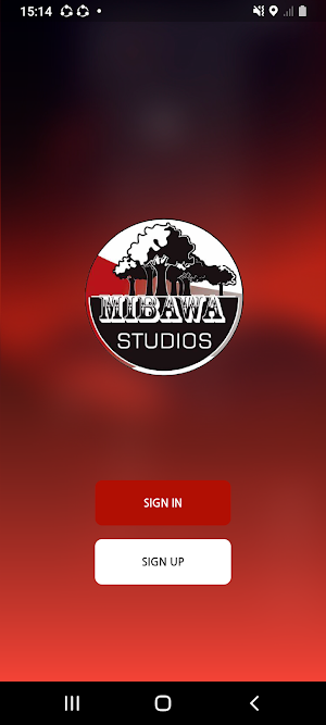 Mibawa Studios Screenshot 2