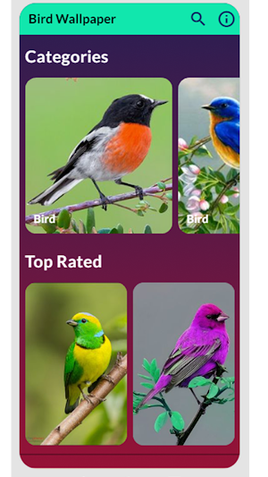 Bird Wallpaper Screenshot 0