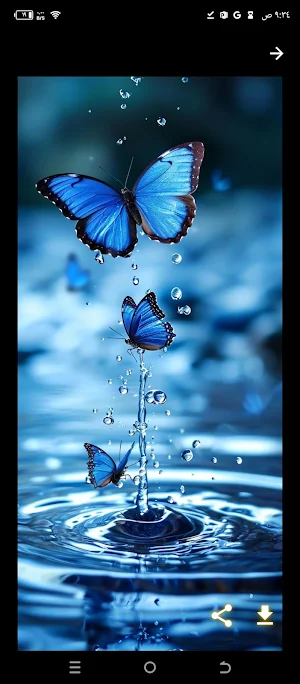 خلفيات فراشة Screenshot 2