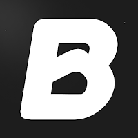 Brisiao Partner